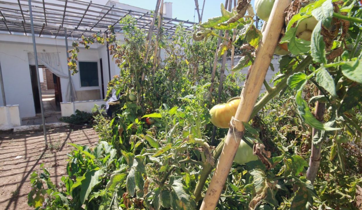 huerto03-casa-riogordo