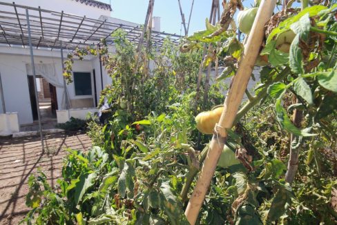 huerto03-casa-riogordo