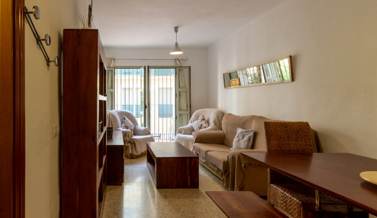 living-room-apartment-malaga-centre