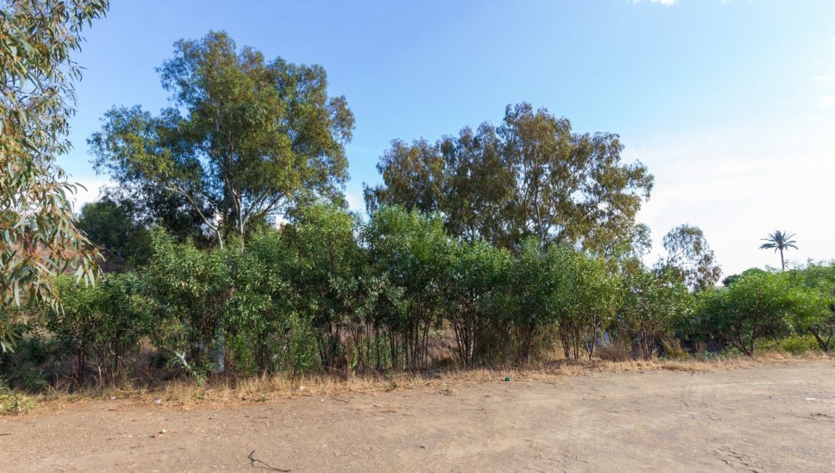 Parcelas a la venta